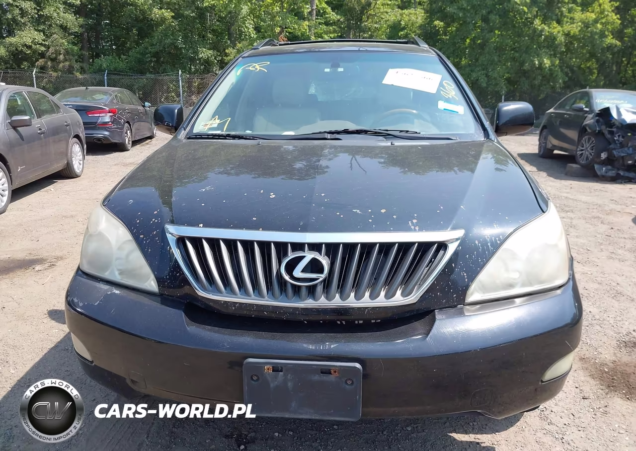 2009 Lexus Rx 350 VIN:2T2GK31U89C059274 - 10