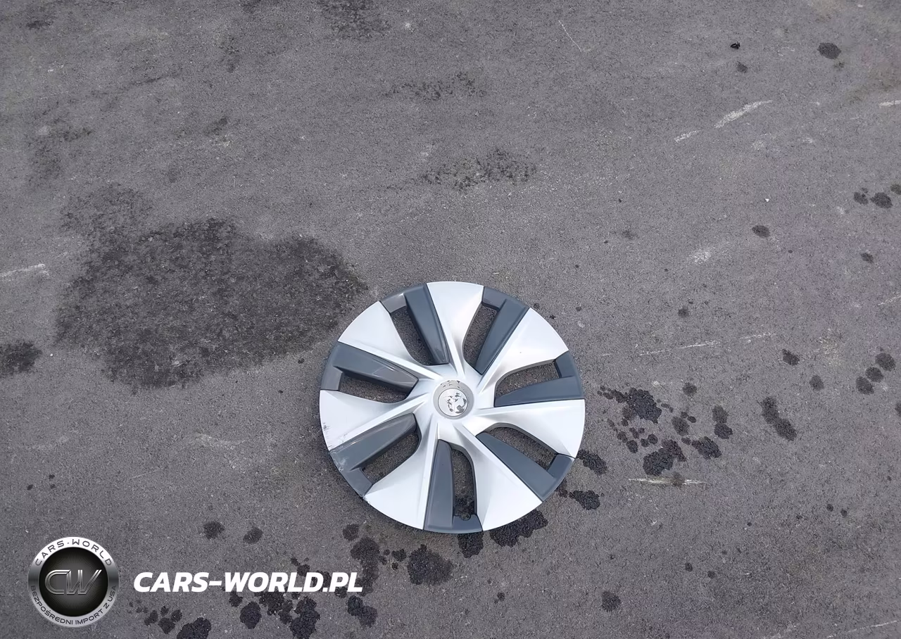 2023 Tesla Model Y Awd-Long Range Dual Motor All-Wheel Drive VIN:7SAYGDEE6PF685128 - 12