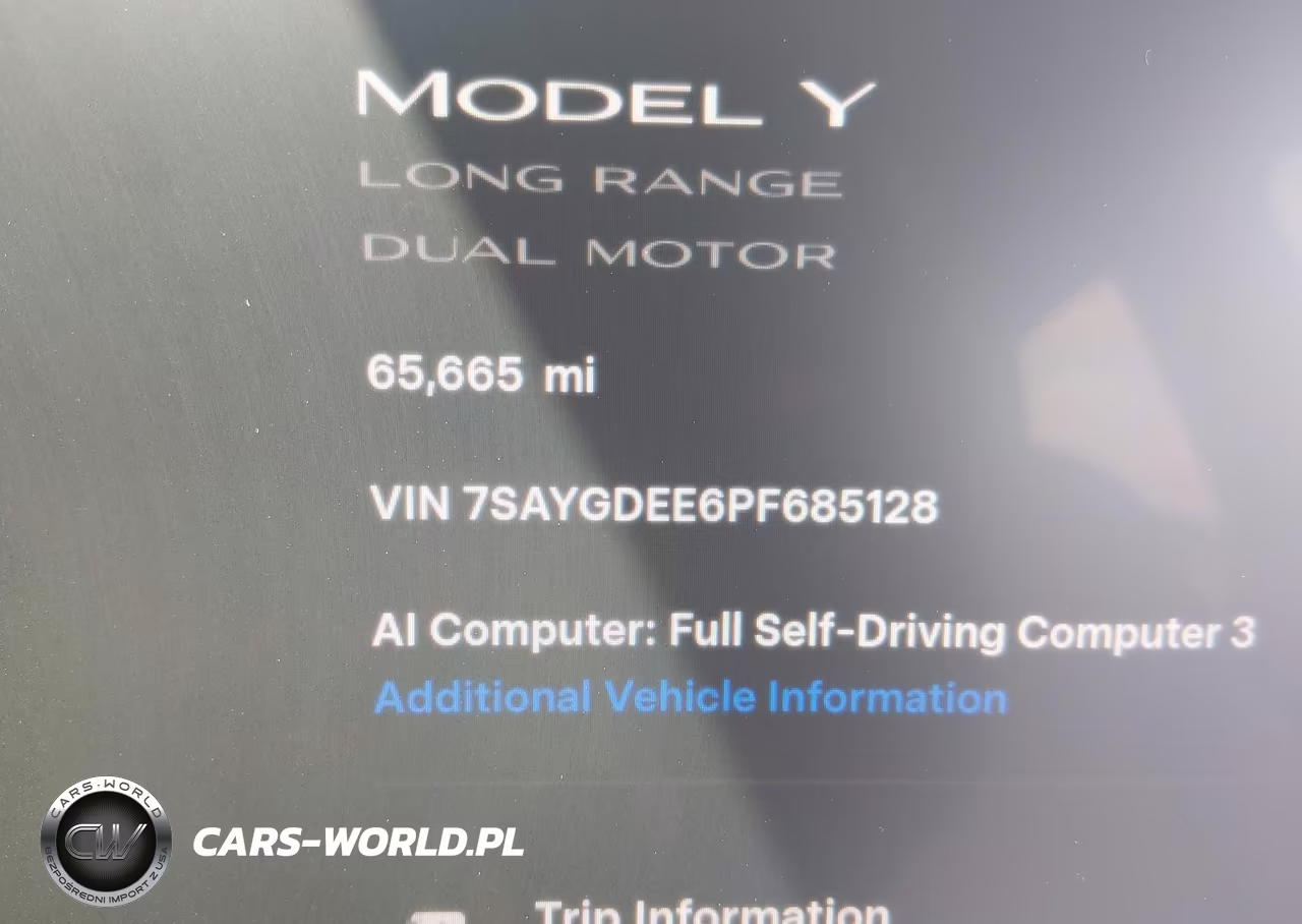 2023 Tesla Model Y Awd-Long Range Dual Motor All-Wheel Drive VIN:7SAYGDEE6PF685128 - 16