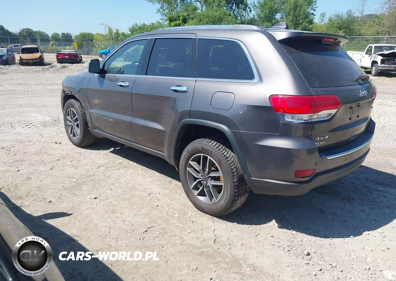 2019 Jeep Grand Cherokee Limited 4X4 VIN:1C4RJFBG3KC641789 - 3