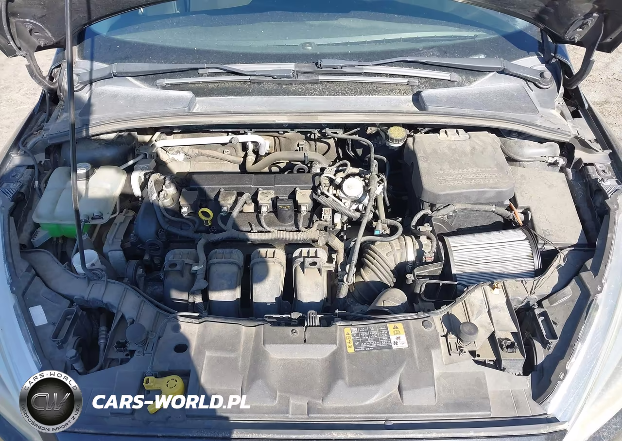 2015 Ford Focus Se VIN:1FADP3K28FL256428 - 10