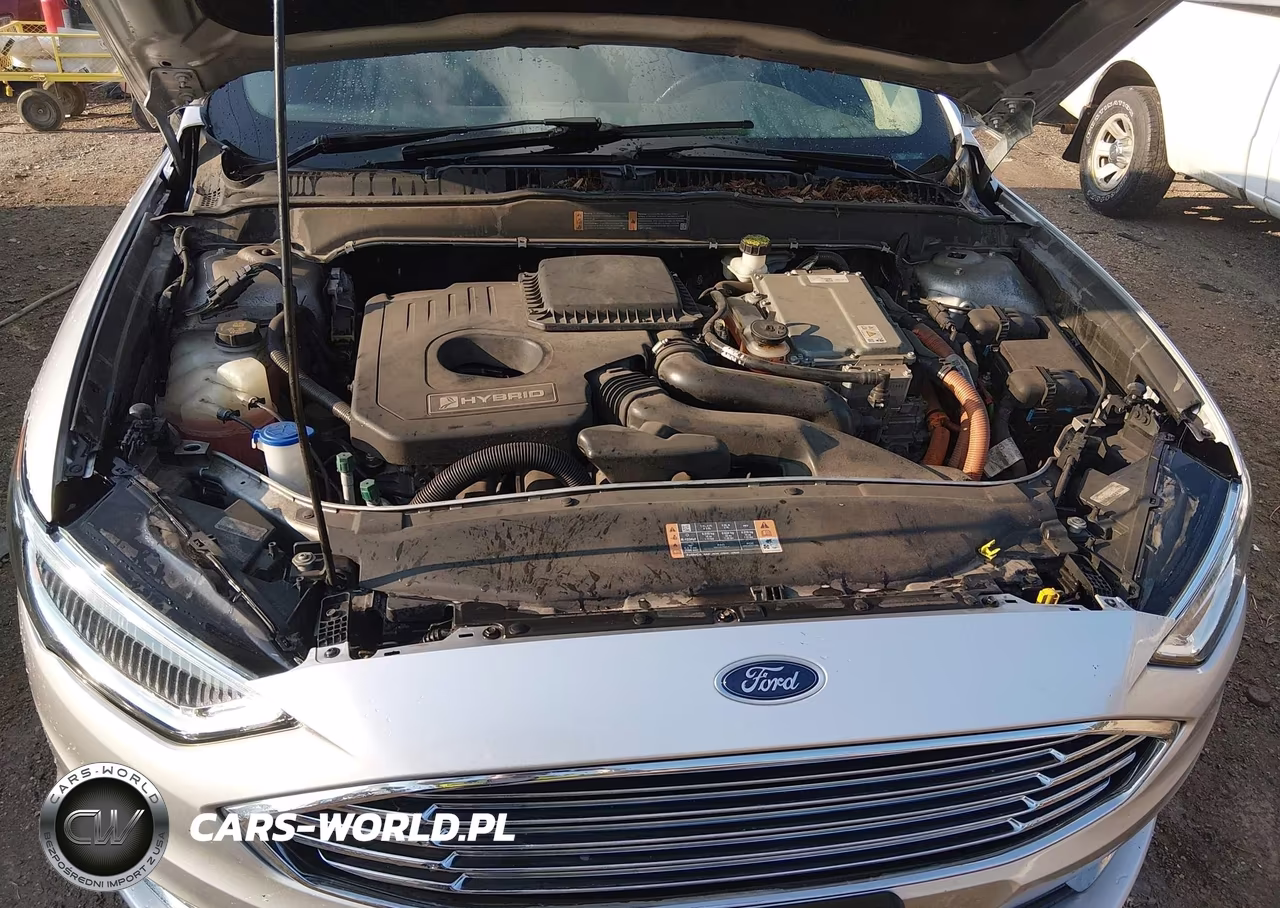2017 Ford Fusion Hybrid Titanium VIN:3FA6P0RU4HR323075 - 10