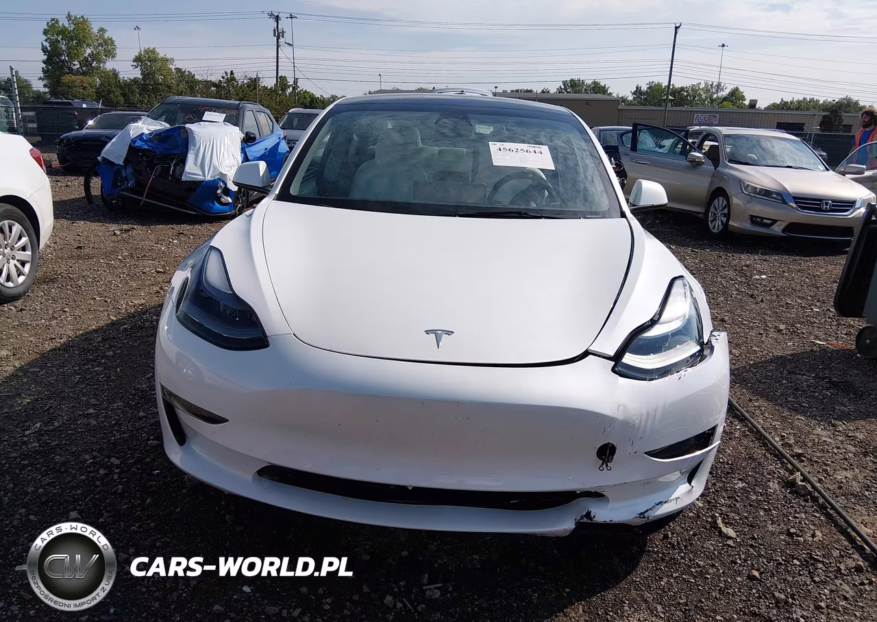 2023 Tesla Model 3 Rear-Wheel Drive VIN:5YJ3E1EA0PF491610 - 12