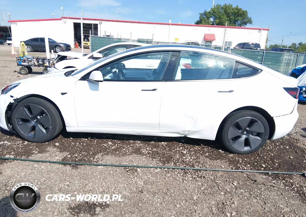 2023 Tesla Model 3 Rear-Wheel Drive VIN:5YJ3E1EA0PF491610 - 14