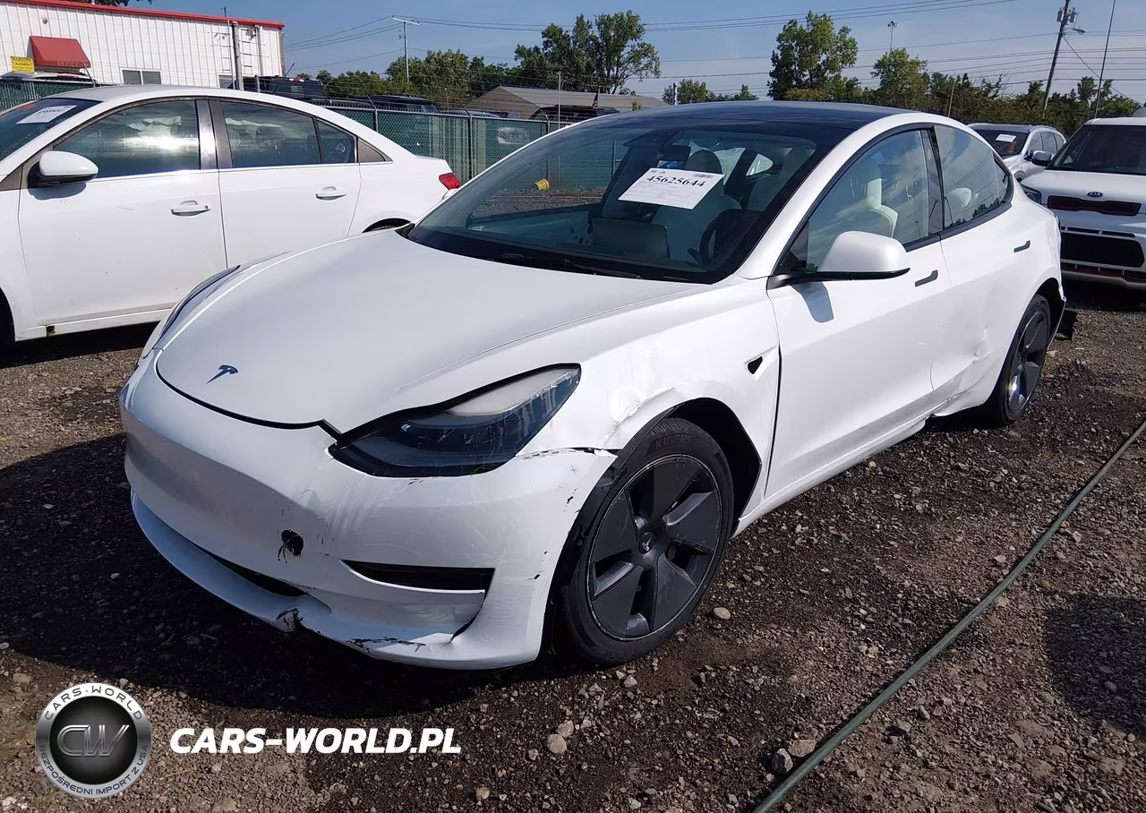 2023 Tesla Model 3 Rear-Wheel Drive VIN:5YJ3E1EA0PF491610 - 2