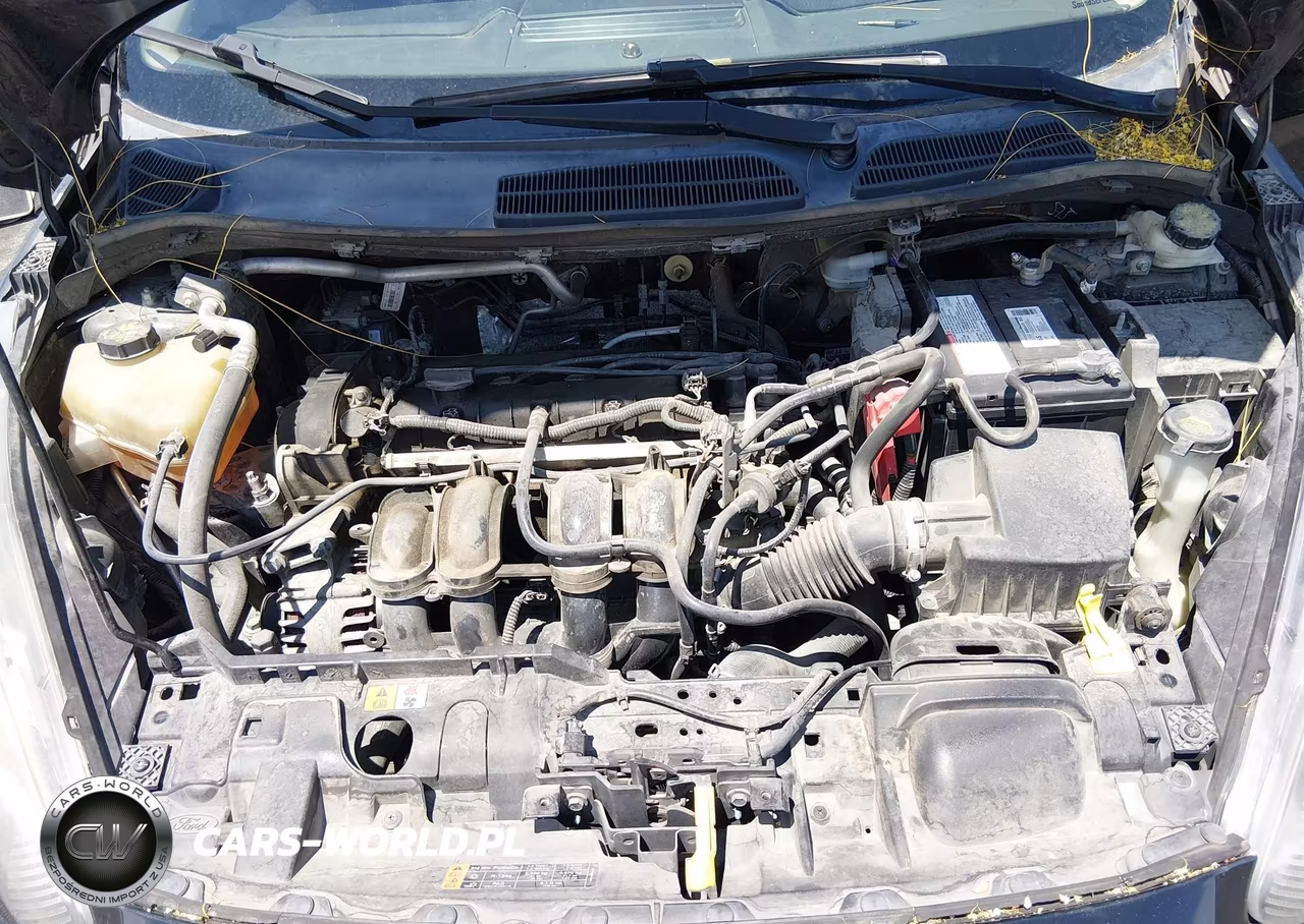 2014 Ford Fiesta Se VIN:3FADP4EJ2EM148618 - 10