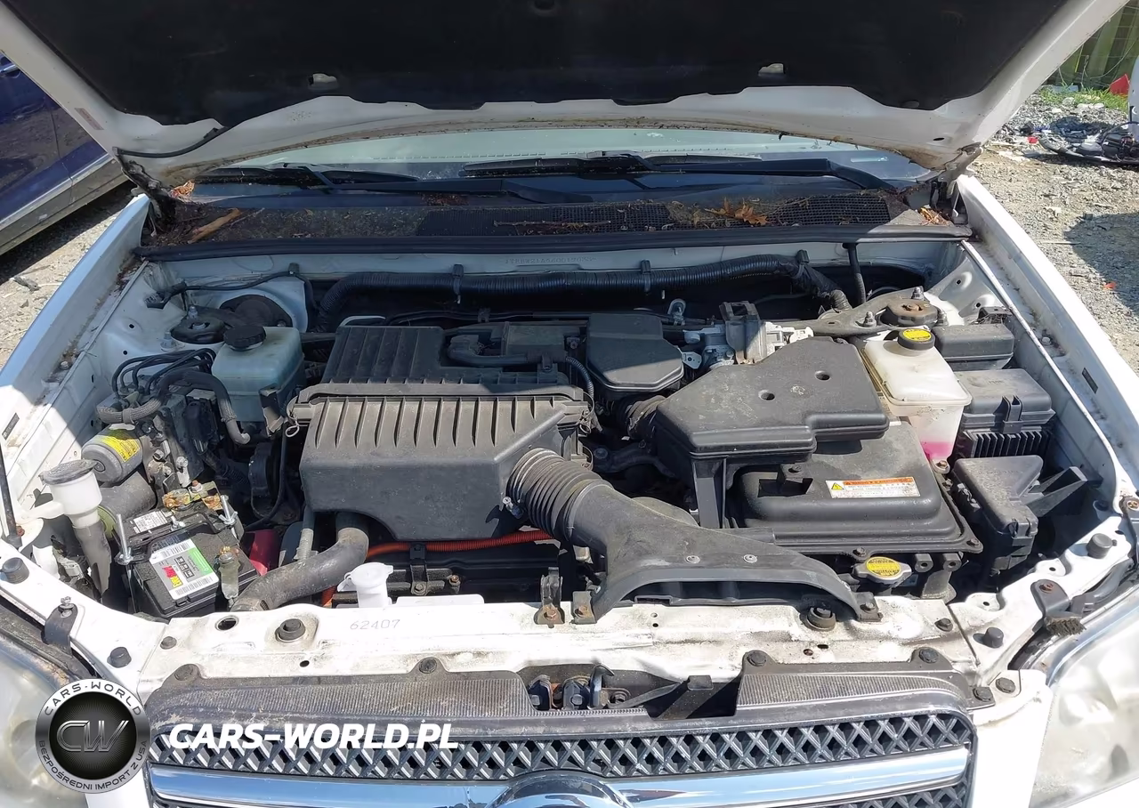2006 Toyota Highlander Hybrid V6 VIN:JTEEW21A460019033 - 10