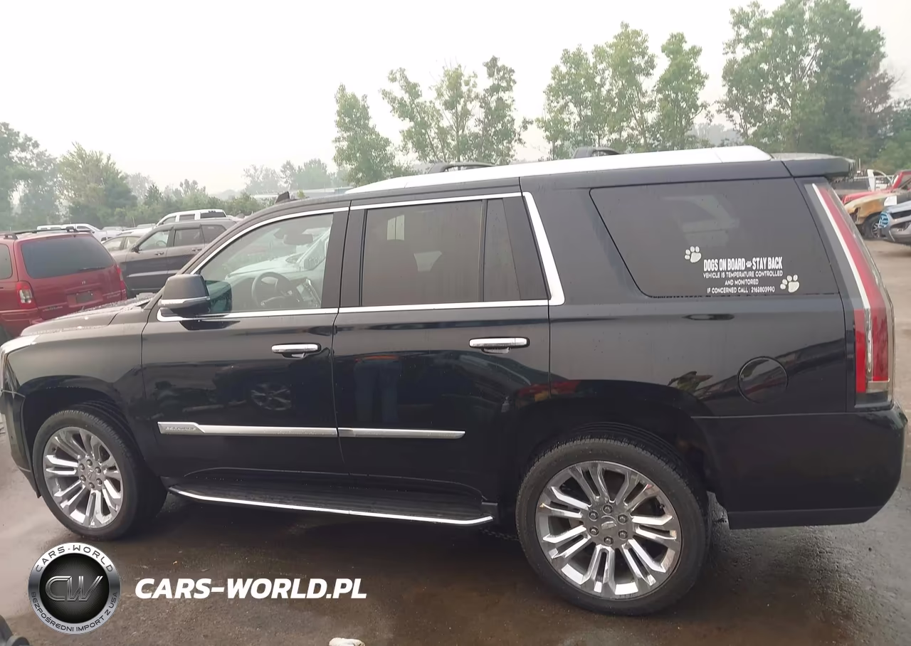 2020 Cadillac Escalade 4Wd Luxury VIN:1GYS4BKJ4LR187459 - 14