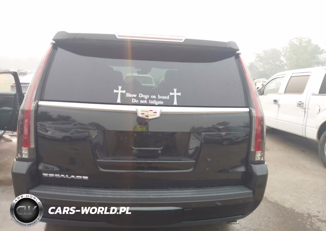 2020 Cadillac Escalade 4Wd Luxury VIN:1GYS4BKJ4LR187459 - 16
