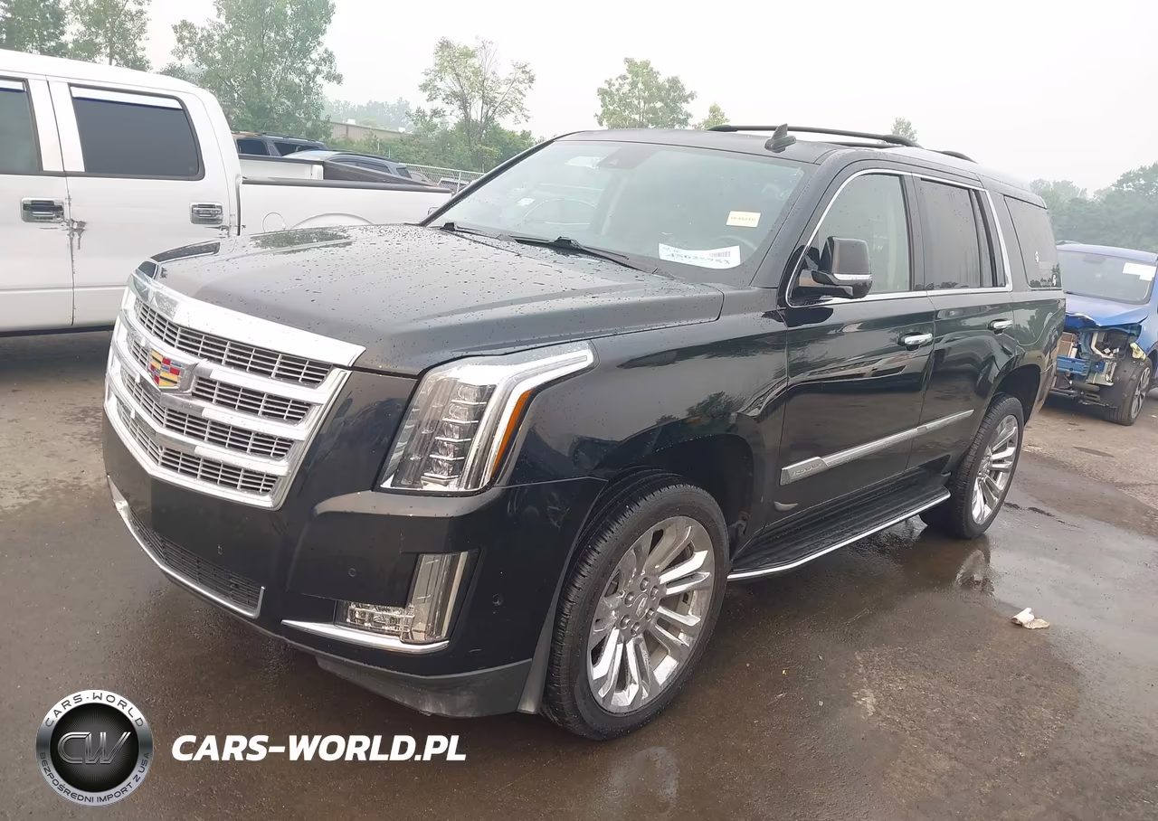 2020 Cadillac Escalade 4Wd Luxury VIN:1GYS4BKJ4LR187459 - 2