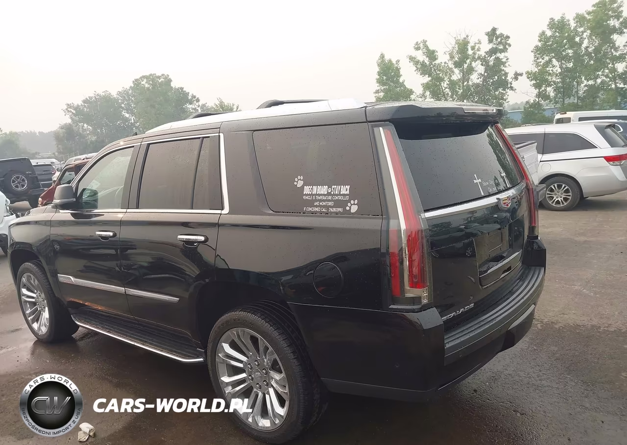 2020 Cadillac Escalade 4Wd Luxury VIN:1GYS4BKJ4LR187459 - 3