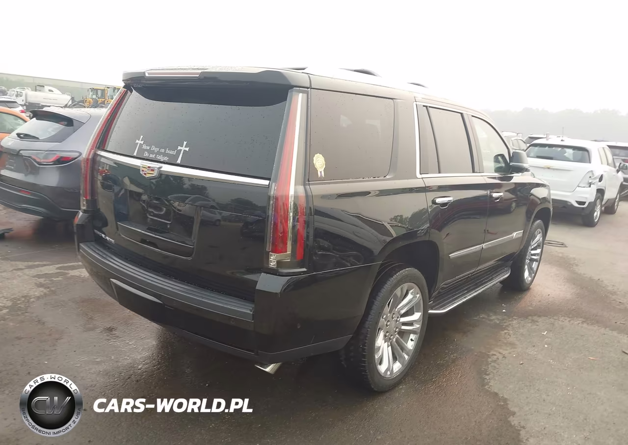 2020 Cadillac Escalade 4Wd Luxury VIN:1GYS4BKJ4LR187459 - 4