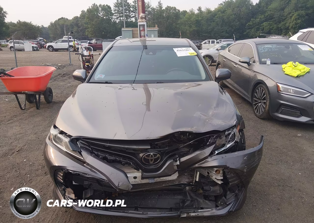 2020 Toyota Camry Le VIN:4T1C11AK4LU977991 - 12