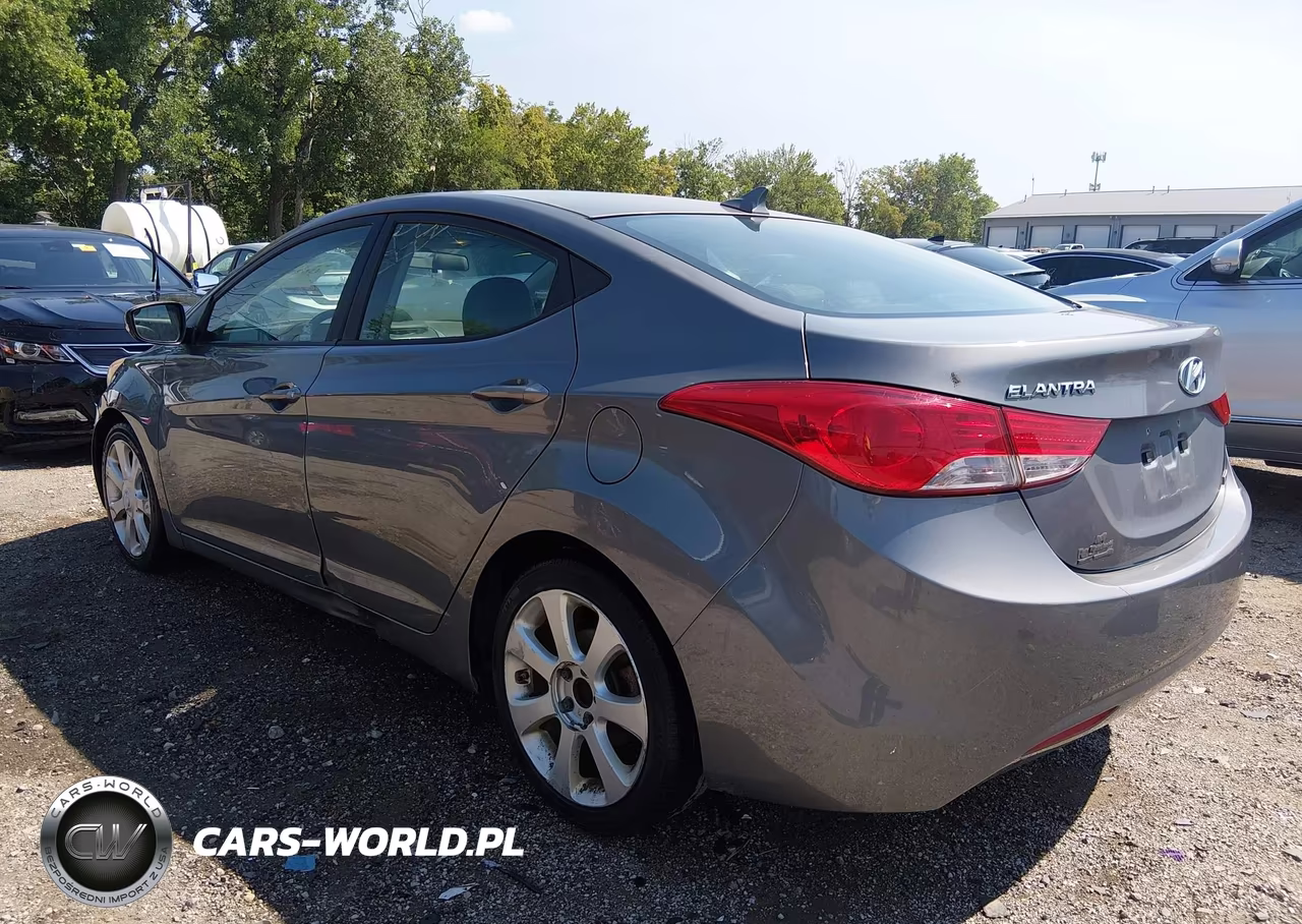 2013 Hyundai Elantra Limited VIN:5NPDH4AE5DH439117 - 3