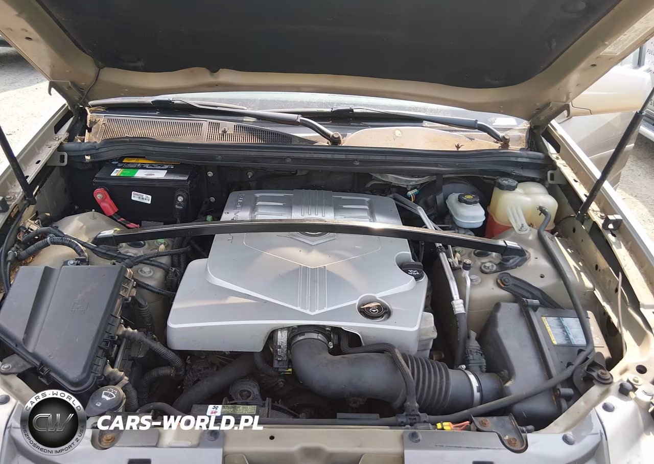 2005 Cadillac Srx V6 VIN:1GYEE637650148447 - 10