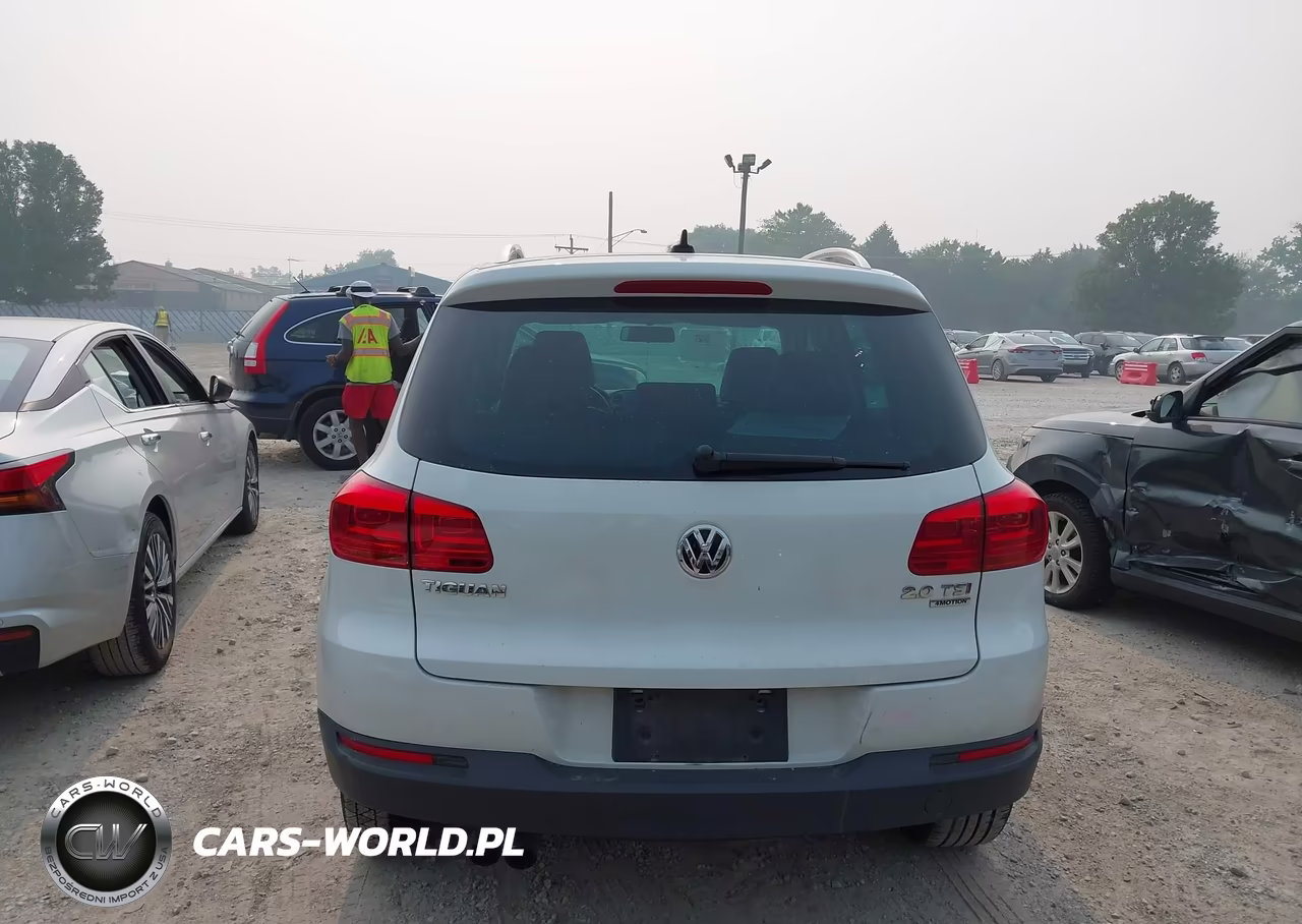 2015 Volkswagen Tiguan Sel VIN:WVGBV7AX3FW509788 - 16
