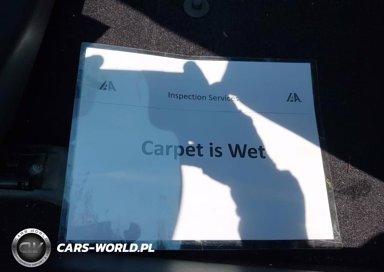 2019 Infiniti Q50 3.0T Luxe VIN:JN1EV7AR5KM553223 - 12