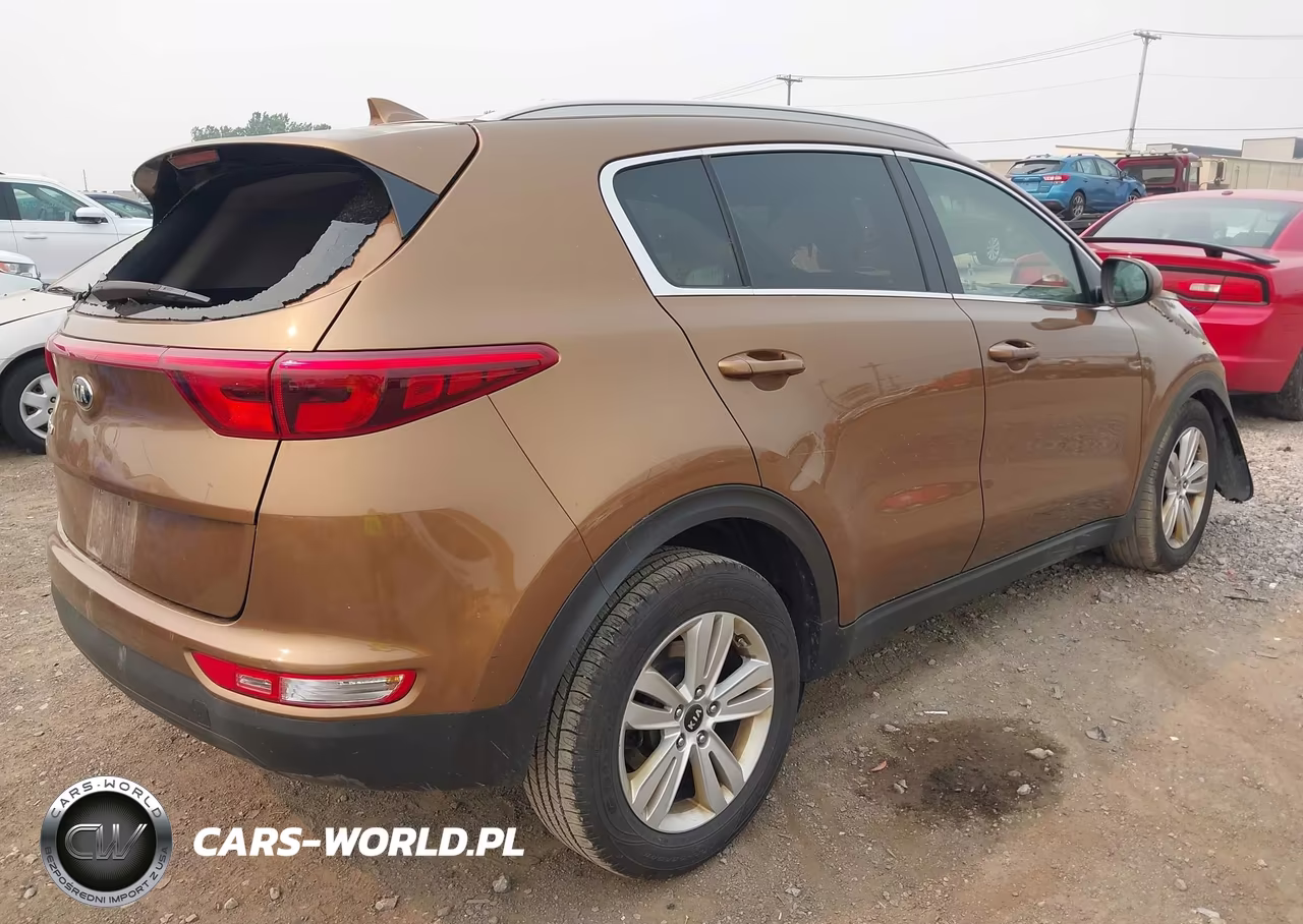 2017 Kia Sportage Lx VIN:KNDPM3AC6H7043080 - 4