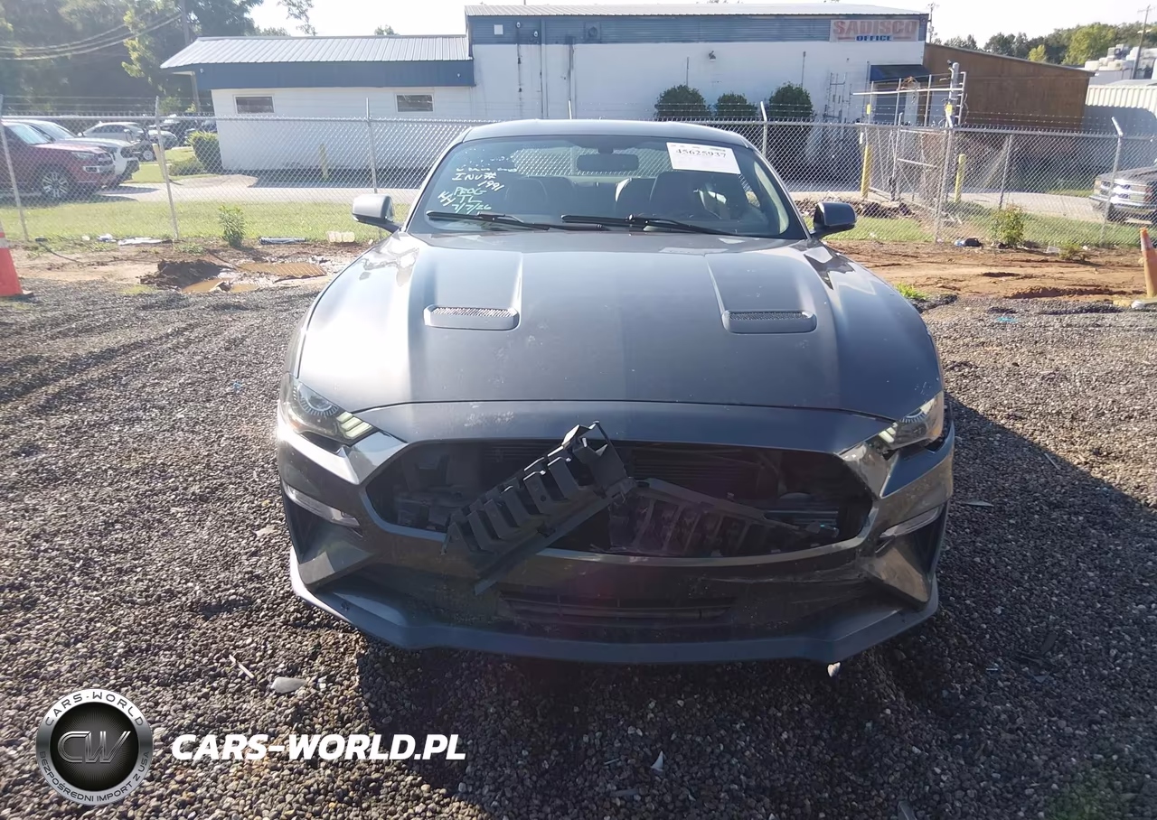 2020 Ford Mustang Ecoboost Premium Fastback VIN:1FA6P8THXL5135957 - 12