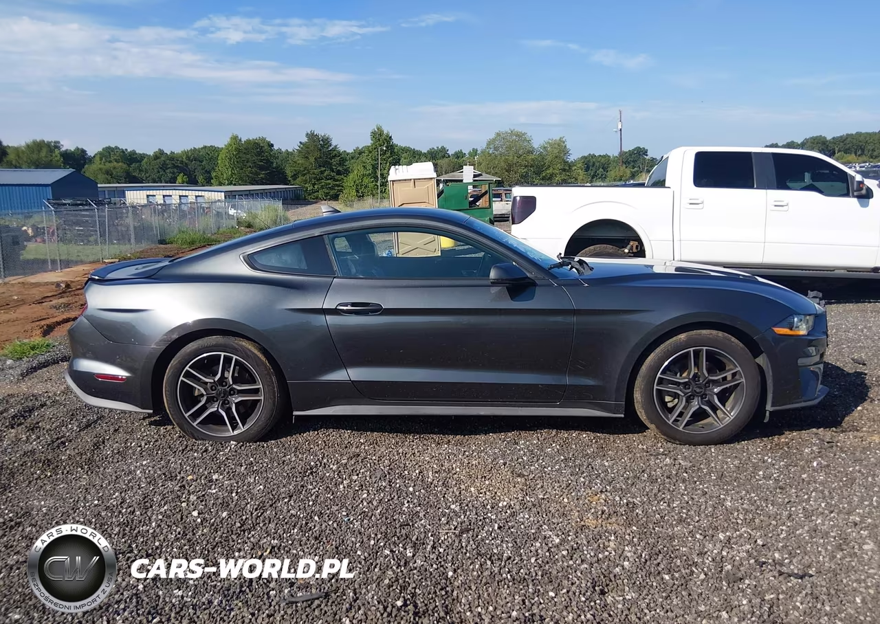 2020 Ford Mustang Ecoboost Premium Fastback VIN:1FA6P8THXL5135957 - 13