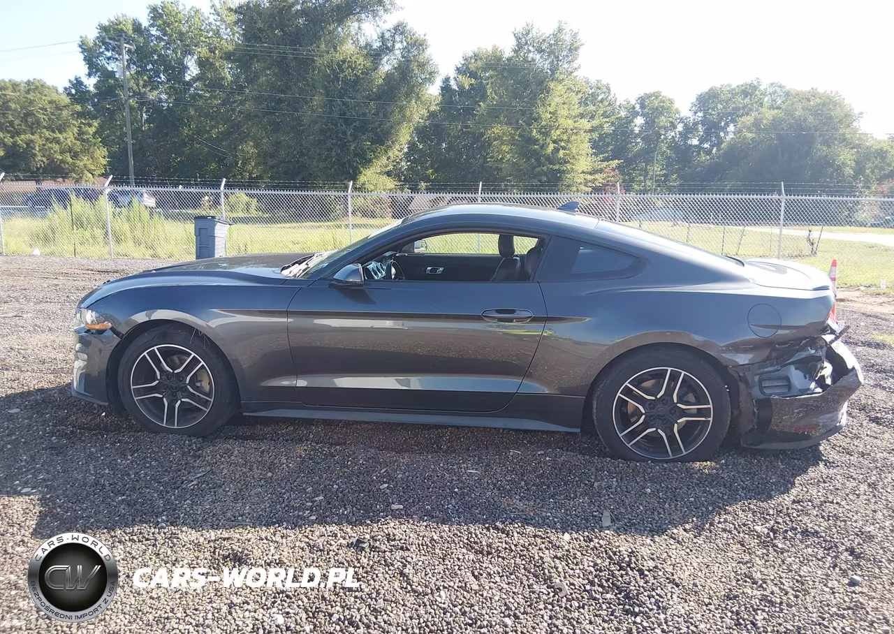 2020 Ford Mustang Ecoboost Premium Fastback VIN:1FA6P8THXL5135957 - 14
