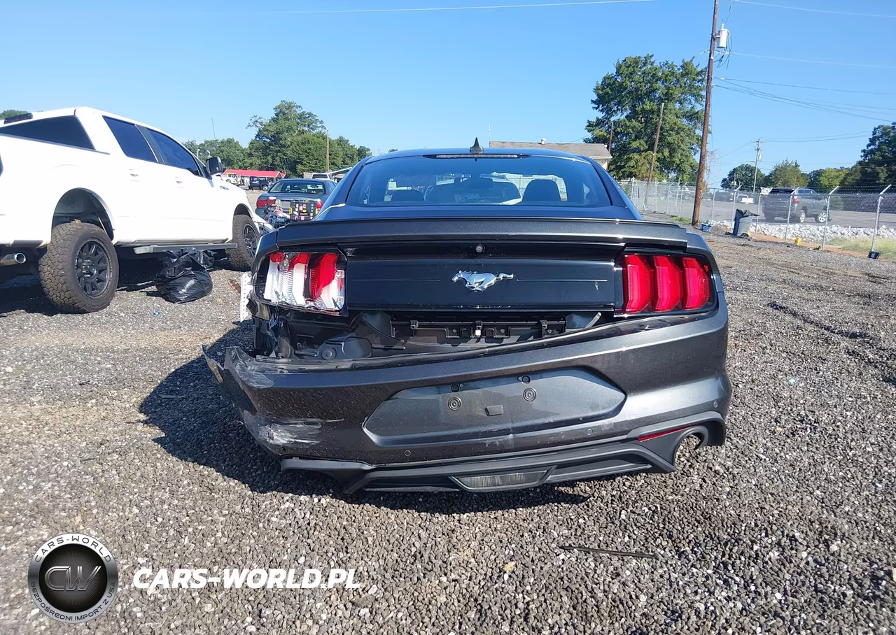 2020 Ford Mustang Ecoboost Premium Fastback VIN:1FA6P8THXL5135957 - 16