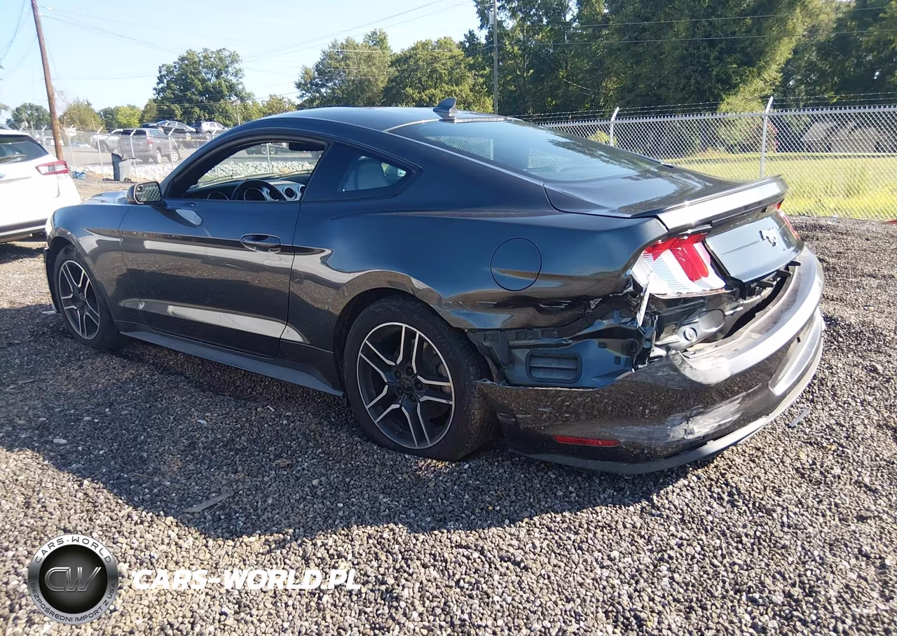 2020 Ford Mustang Ecoboost Premium Fastback VIN:1FA6P8THXL5135957 - 3