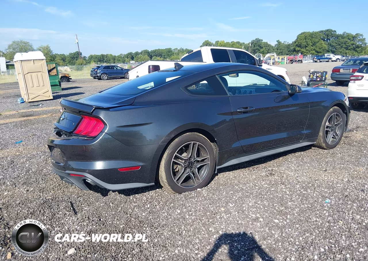 2020 Ford Mustang Ecoboost Premium Fastback VIN:1FA6P8THXL5135957 - 4