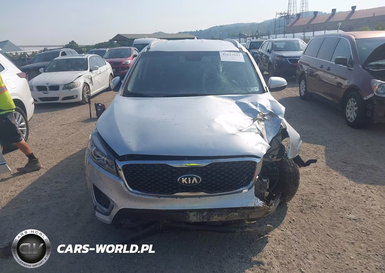 2018 Kia Sorento 2.4L Lx VIN:5XYPGDA33JG377069 - 13