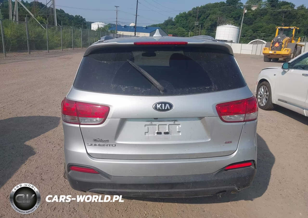 2018 Kia Sorento 2.4L Lx VIN:5XYPGDA33JG377069 - 17
