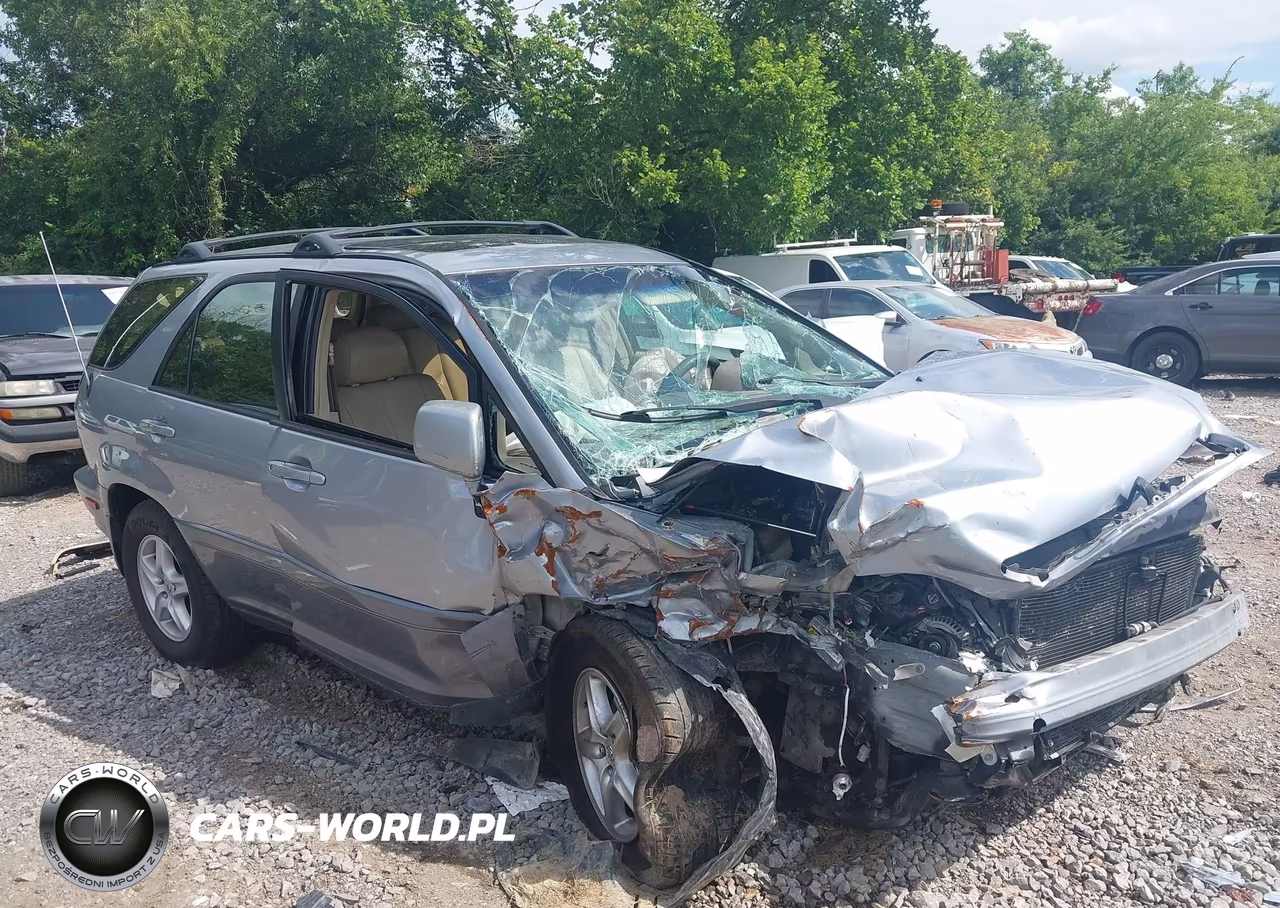 2002 Lexus Rx 300 VIN:JTJGF10U720124949 - 12