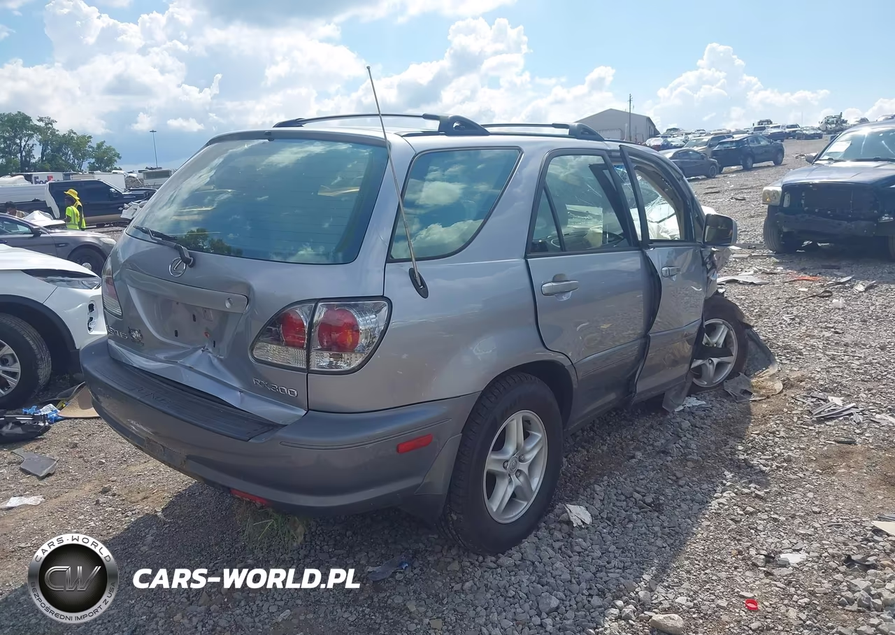 2002 Lexus Rx 300 VIN:JTJGF10U720124949 - 4