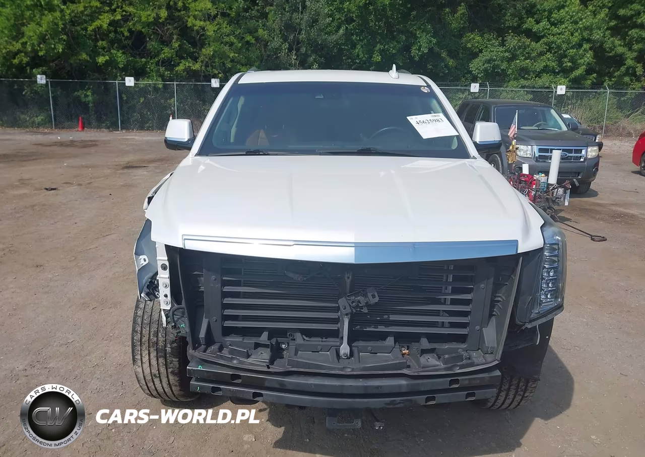 2017 Cadillac Escalade Premium Luxury VIN:1GYS4CKJ4HR224278 - 12
