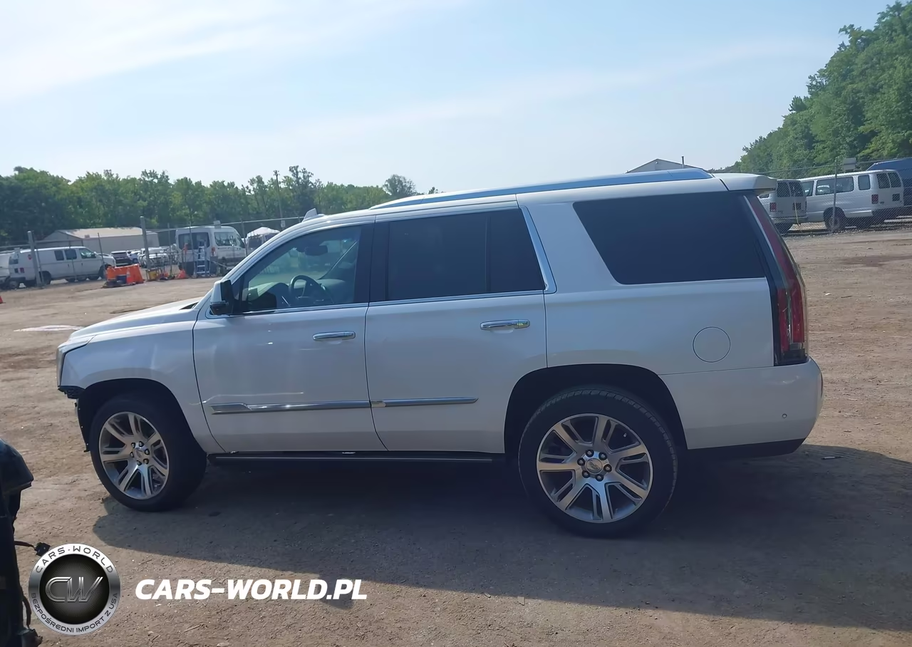 2017 Cadillac Escalade Premium Luxury VIN:1GYS4CKJ4HR224278 - 14
