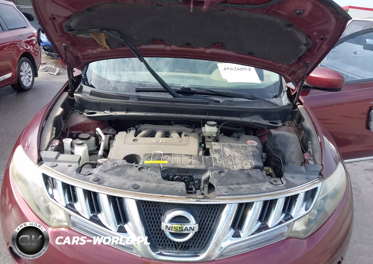 2009 Nissan Murano Le VIN:JN8AZ18W49W113618 - 10