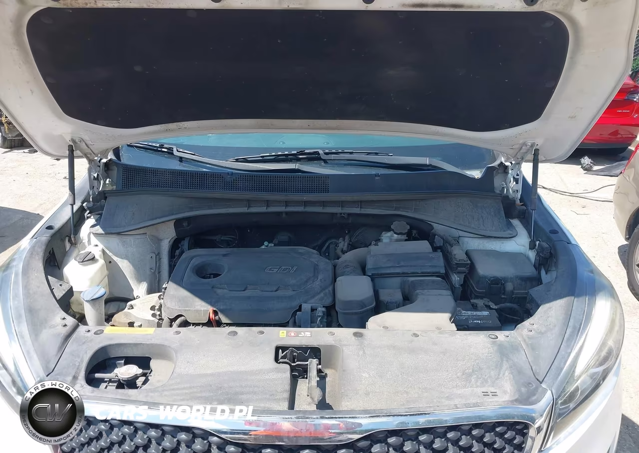2016 Kia Sorento 2.4L Lx VIN:5XYPGDA34GG109818 - 10