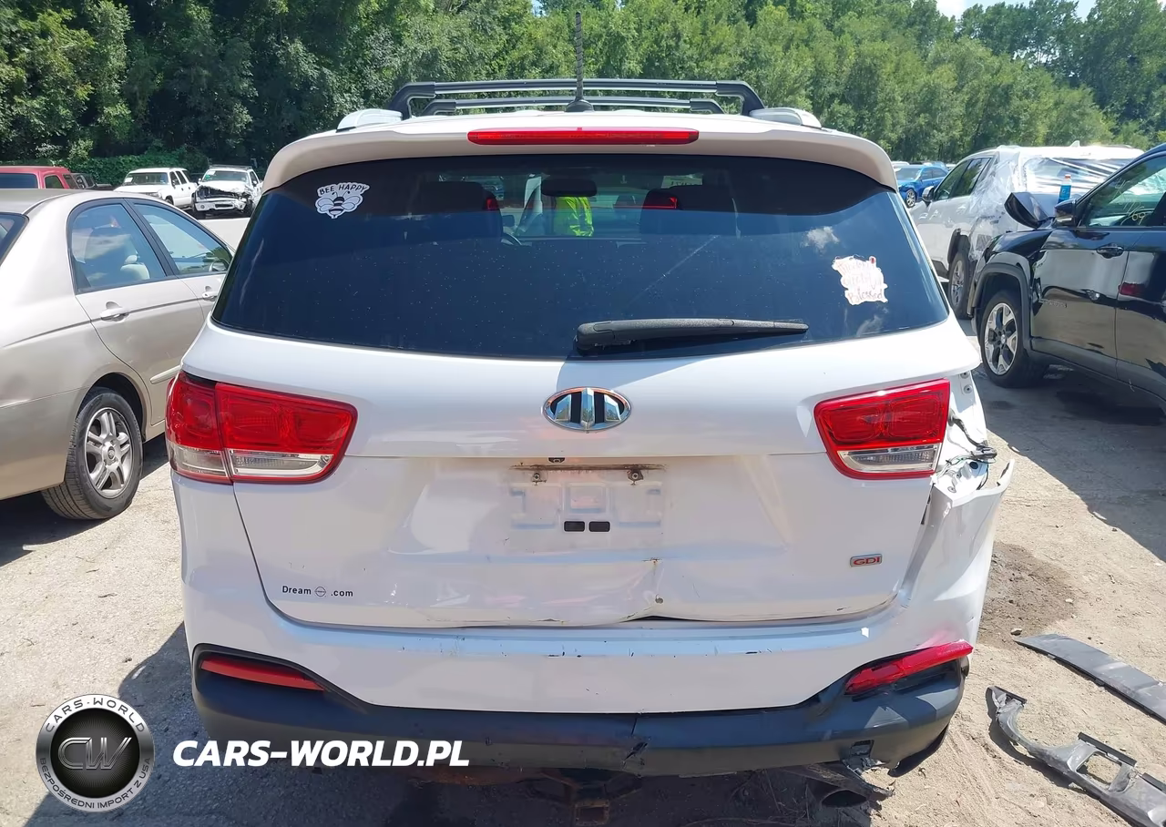 2016 Kia Sorento 2.4L Lx VIN:5XYPGDA34GG109818 - 17