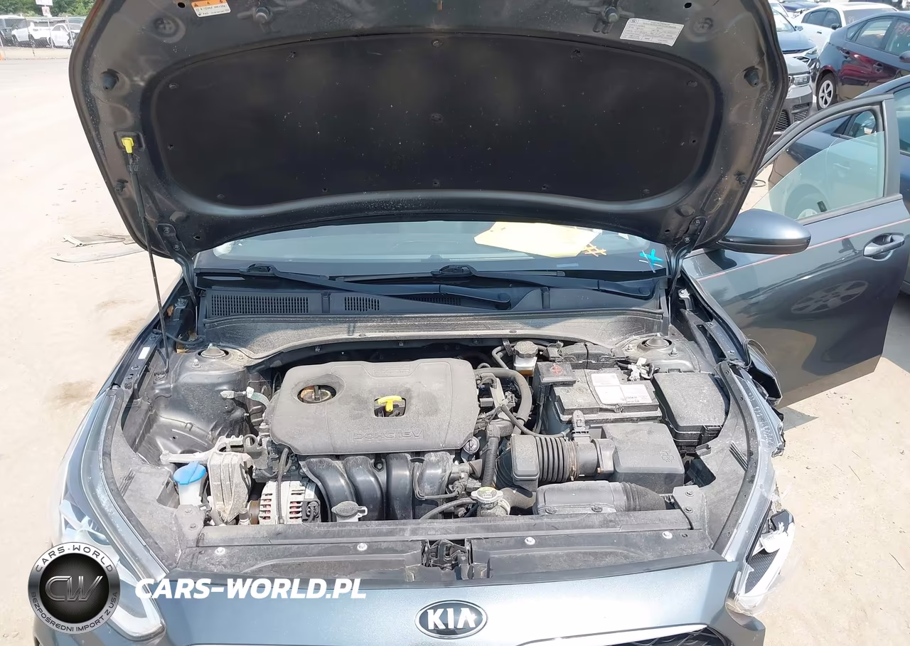 2019 Kia Forte S VIN:3KPF34AD3KE050816 - 10