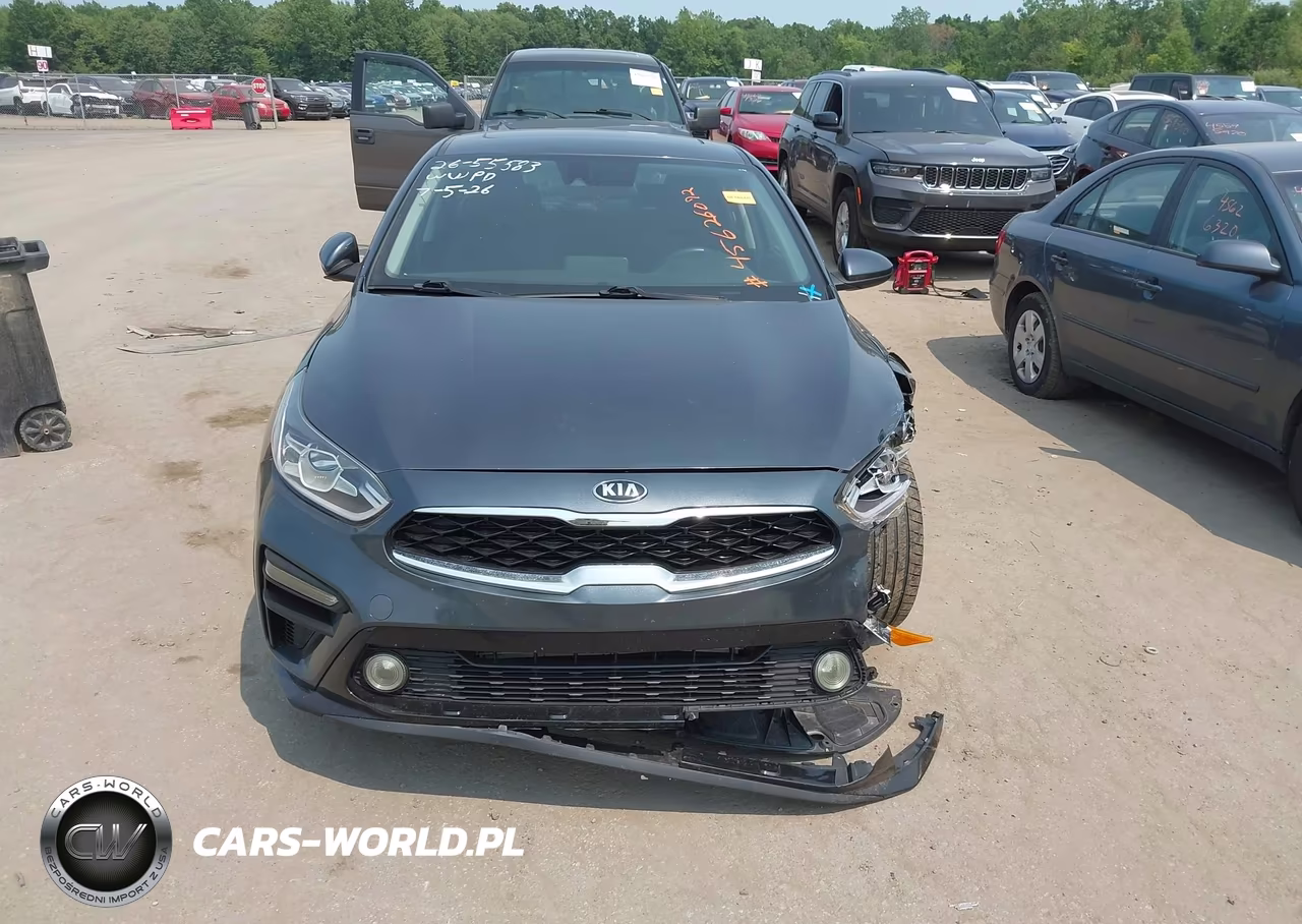2019 Kia Forte S VIN:3KPF34AD3KE050816 - 12