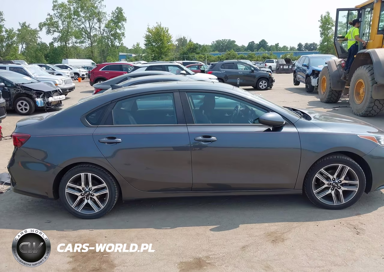 2019 Kia Forte S VIN:3KPF34AD3KE050816 - 13