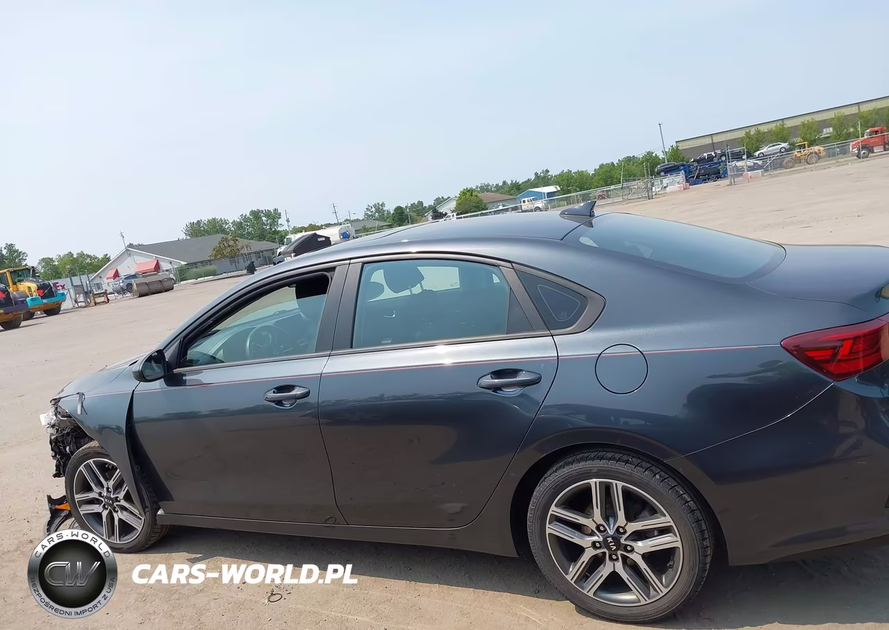 2019 Kia Forte S VIN:3KPF34AD3KE050816 - 14