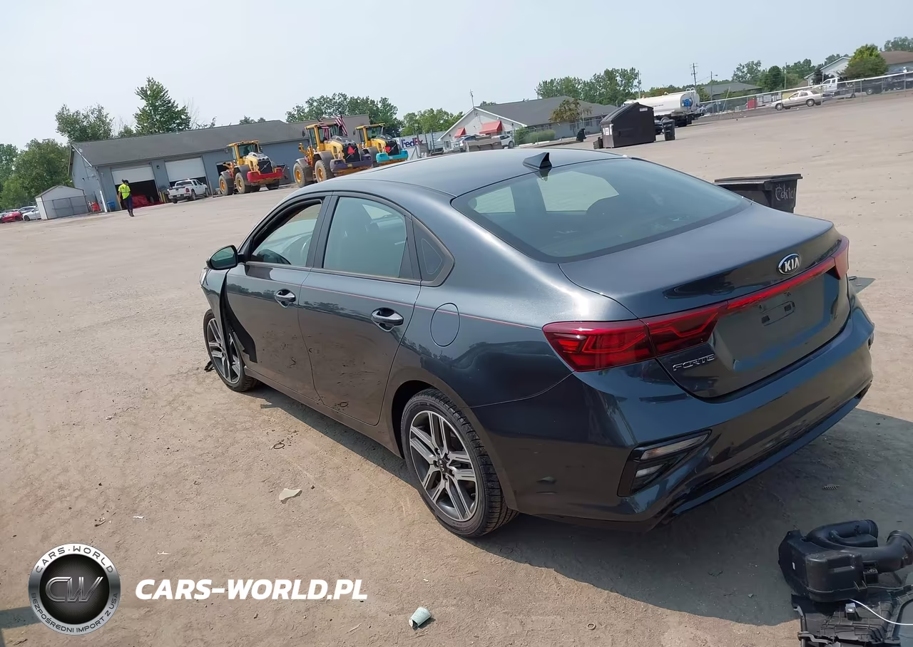 2019 Kia Forte S VIN:3KPF34AD3KE050816 - 3