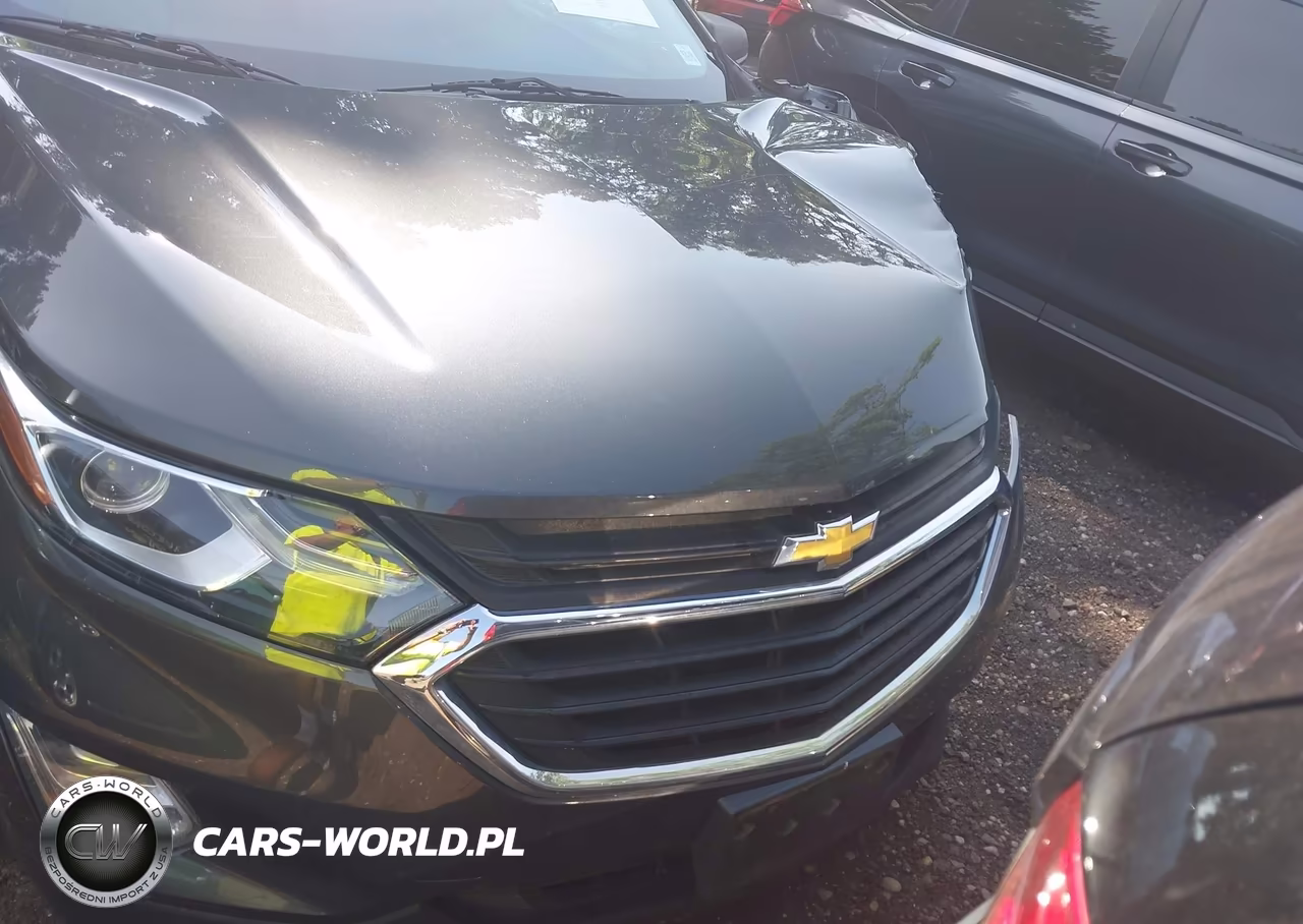 2020 Chevrolet Equinox Fwd Ls VIN:3GNAXHEV5LS645380 - 12