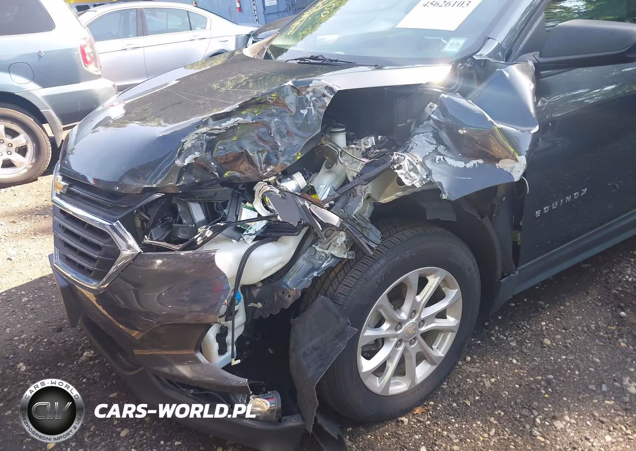 2020 Chevrolet Equinox Fwd Ls VIN:3GNAXHEV5LS645380 - 6