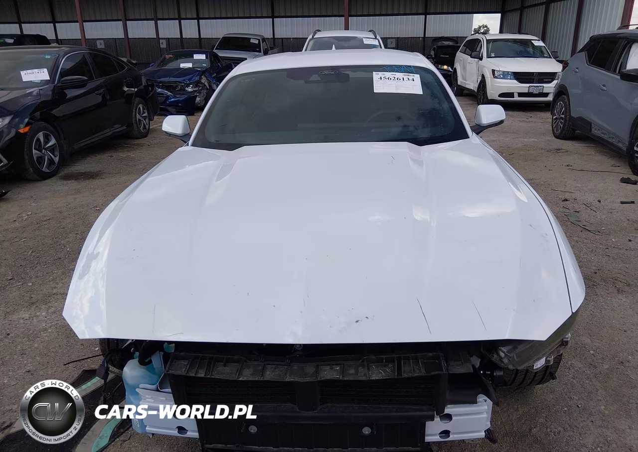 2026 Ford Mustang Ecoboost Premium Fastback VIN:1FA6P8TH3T5110477 - 12