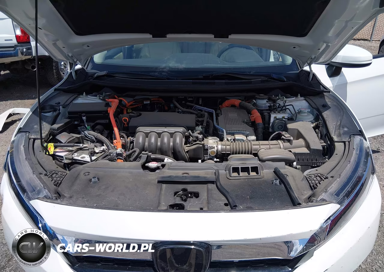 2019 Honda Clarity Plug-In Hybrid VIN:JHMZC5F10KC003976 - 10