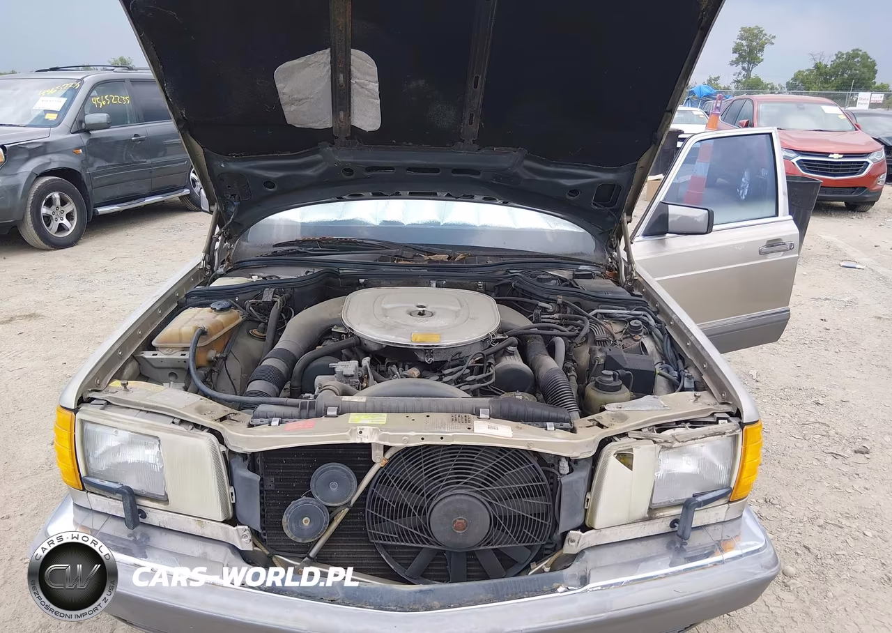 1989 Mercedes-Benz 500-Class VIN:WDBCA39E7KA459063 - 10