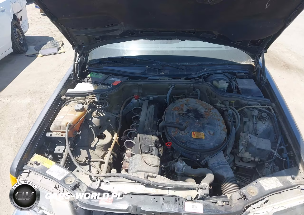 1990 Mercedes-Benz 300 Sel VIN:WDBCA25D3LA537072 - 10