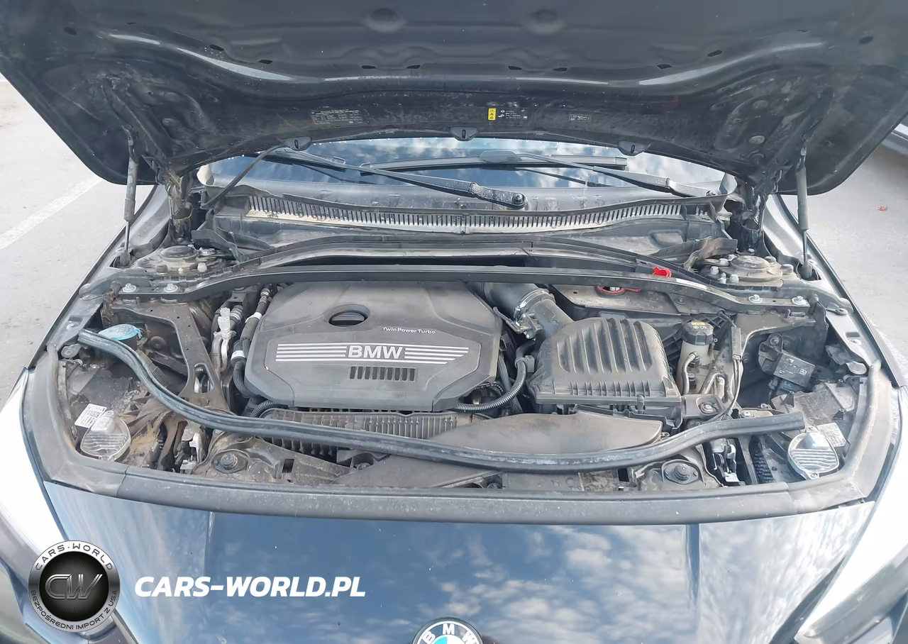 2020 BMW 228I Gran Coupe xDrive VIN:WBA73AK04L7F76176 - 10