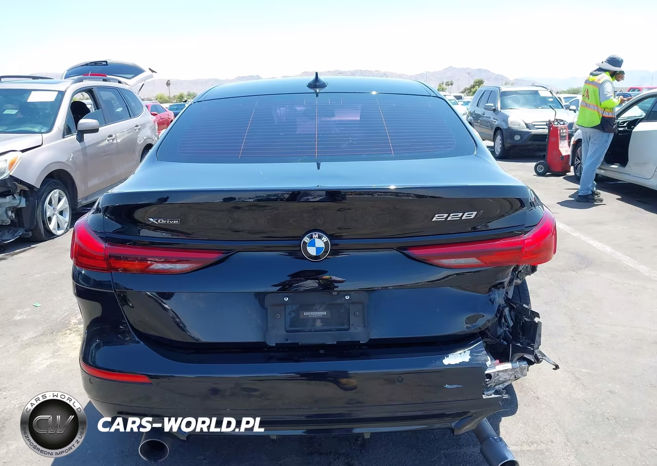 2020 BMW 228I Gran Coupe xDrive VIN:WBA73AK04L7F76176 - 17